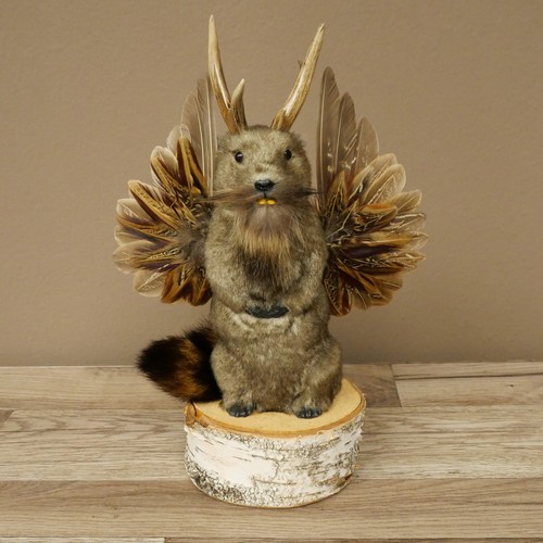 Wolpertinger murmel préparat - murmel,
