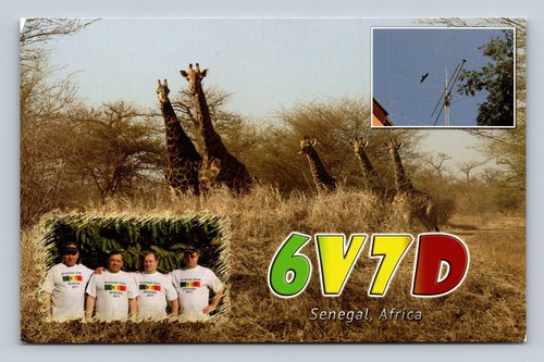 Ham radio qsl 6v7d - radio,