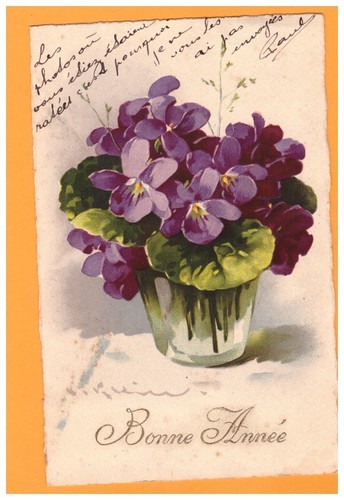 Vase fleurs violettes - /, /