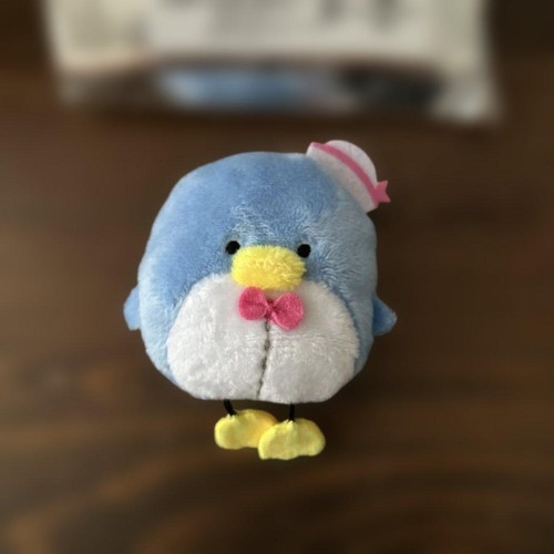 Pince cheveux sanrio - pince,