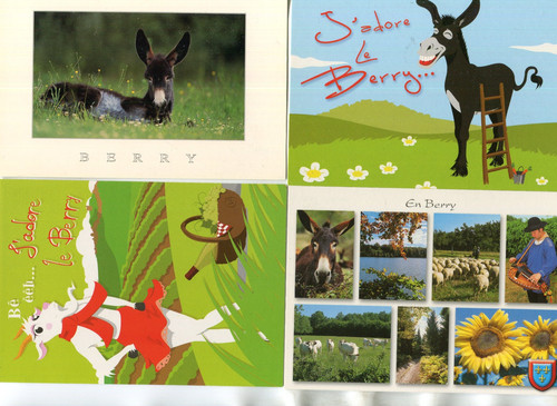 Berry lot cartes - 4, sur