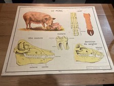 Carte Affiche Scolaire