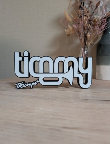 Plaque logo timmy trumpet - plaque, 3d