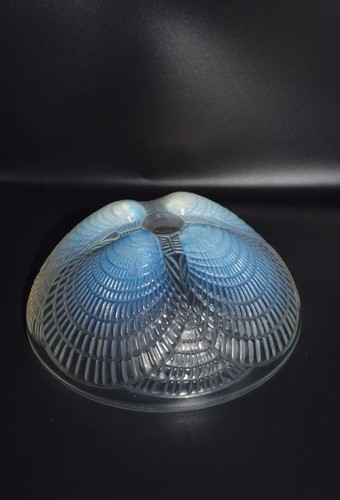 Vide poche opalescent - poche, rene
