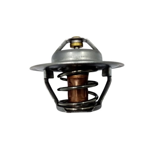 Thermostat pour perkins 152 - pour,