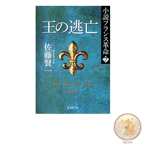 Livre roman révolution - livre,