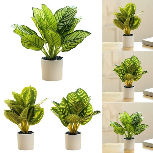 Plante feuille artificielle - plante,