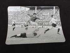 BONNEL OM MARSEILLE OGC NICE