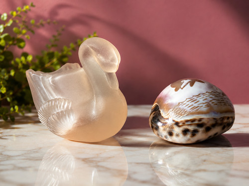 Cygne coquillage pot - +,