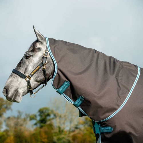 Horseware amigo bravo - bravo, 12