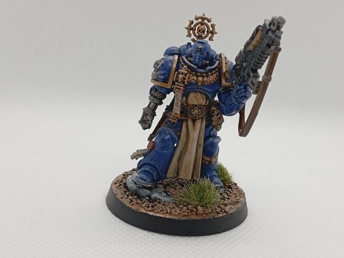 Veteran ultramarines space - ultramarines,