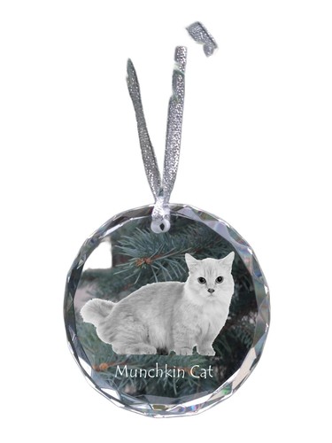 Chat munchkin médaille - chat,