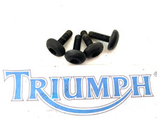 Triumph Daytona 955i Ss Cône