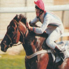 METHODE de TURF : LA PROGRESSION UNIVERSELLE JEU SIMPLE DU TURF (Courses, PMU)