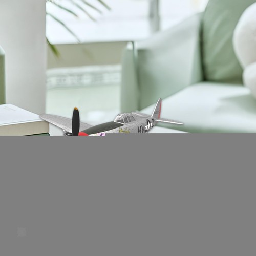 Maquette avion chasse au - de,