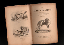livre ancien  les chiens