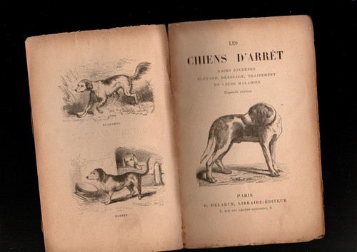 Livre ancien les chiens - livre,
