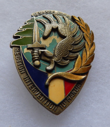 Insigne section intervention - insigne,