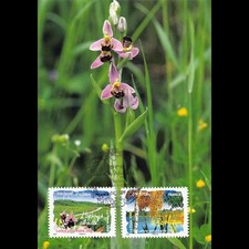 CM CEF - Série 2 carnets