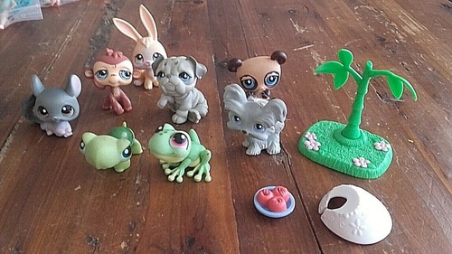Lot petshop singe - lot,