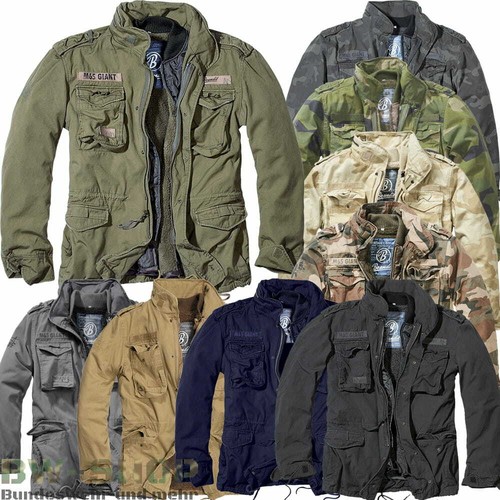 Veste campagne brandit m65 - veste,