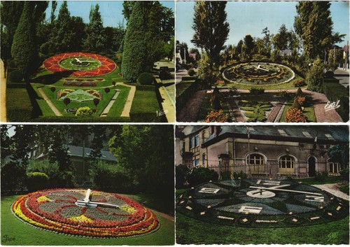 Flower clocks horloge - flower,