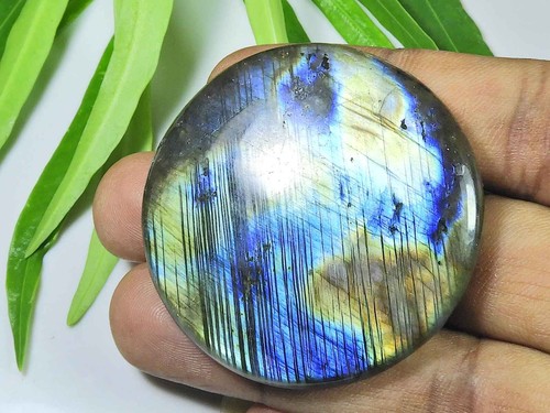 Cabochon rond labradorite - rond, en
