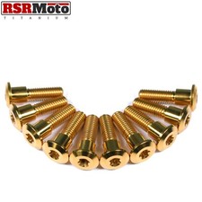 Triumph Daytona 675 675R Titane Avant Rotor Disque Boulons, 2006-2017, Or, Torx