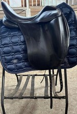 Luc Childeric 17 DPG Dressage