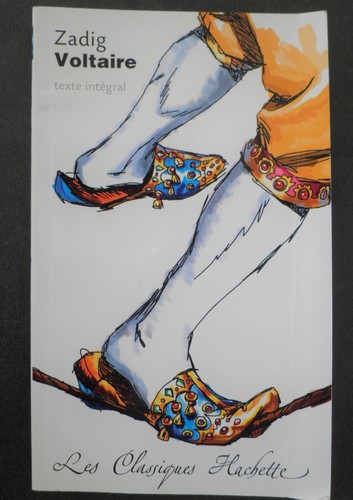 Livre roman zadig - livre,
