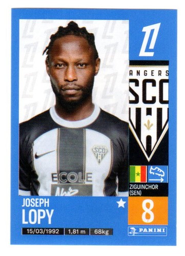 Sticker panini foot 2024 - sticker,