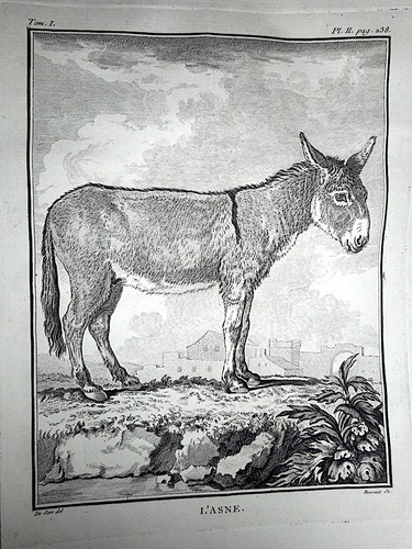 Buffon histoire naturelle - buffon,
