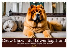Chow Chow - le chien à tête de lion (Calendrier mural 2026 DIN A3 horizontal), C