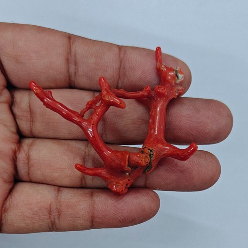 Branche corail rouge - corail, pierre