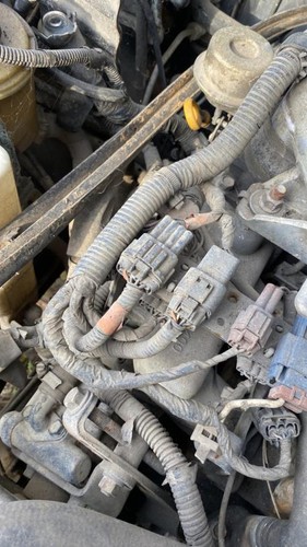 Pompe injection nissan - pompe,