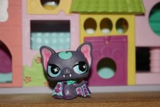 Petshop chauve-souris Punk