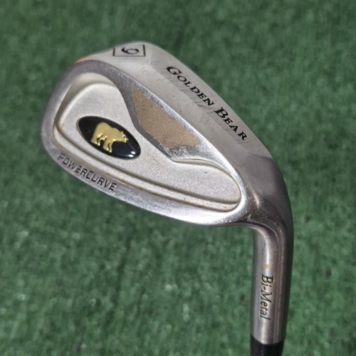 Ladies golden bear - bear, accuforce