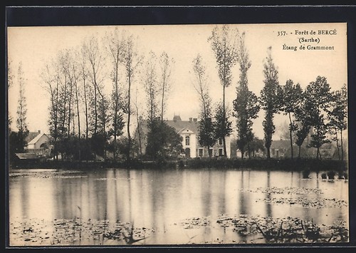 Cpa bercé sarthe la forêt - cpa,