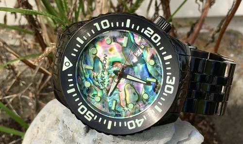 Aragon abalone divemaster - 🔥aragon,