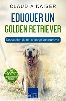 Eduquer golden retriever - eduquer,