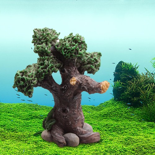 Aquarium bonsaï tree tank - bonsaï,
