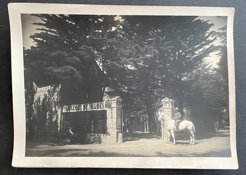 Photographie manege saint - photographie, -manege