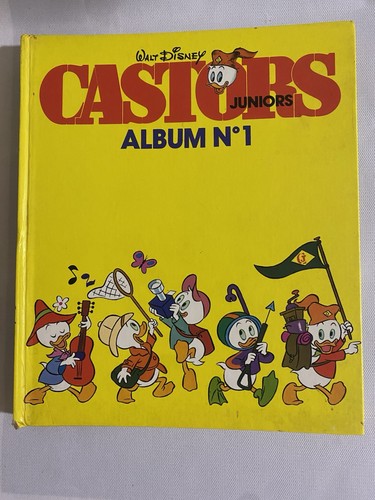 Livre castors juniors - ,,