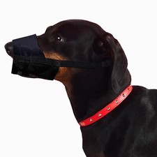 Dingo Nylon Muserolle Souple Maille Respirante Petites Races Chiot Teckel Bas...