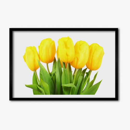 Tulup photo 60x40cm cadre - cadre, le