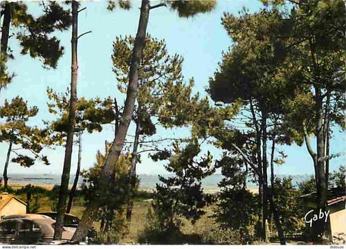 Carte postale ile - -,