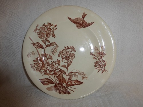 Assiette longwy modele - assiette,