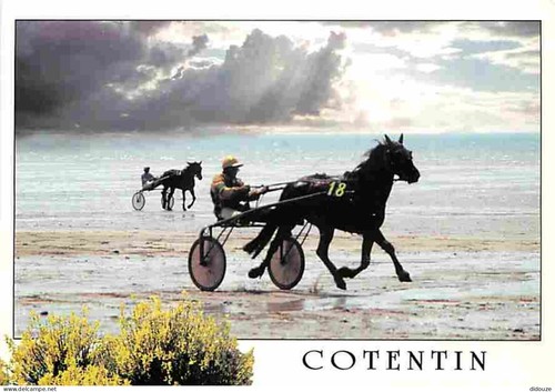 Carte postale animaux - animaux,