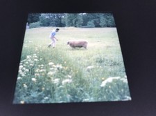 PHILIPPE CLAY : EKTA - EKTACHROME ORIGINAL 6x6cm