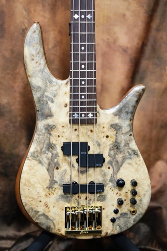 Fodera victor wooten classic - wooten,